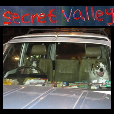 S e c r e t V a l l e y by Secret Valley - album cover