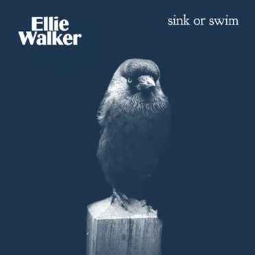 Sink or Swim by Ellie Walker - album cover