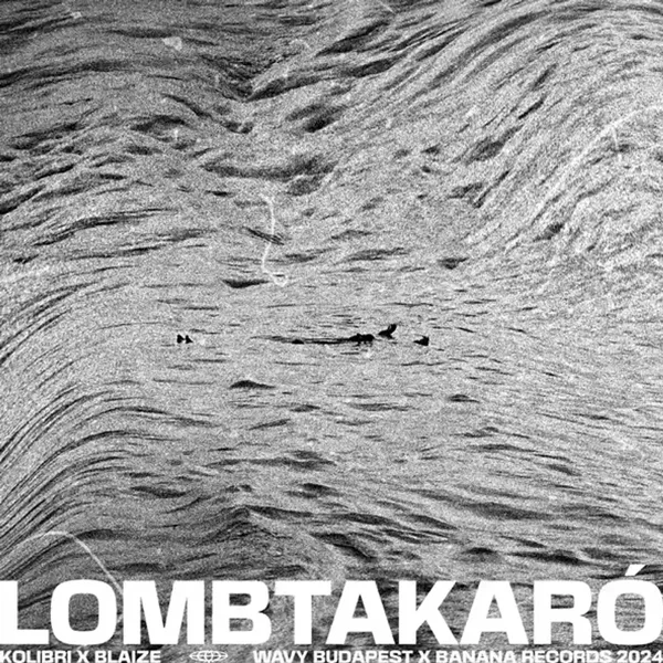 Lombtakaró