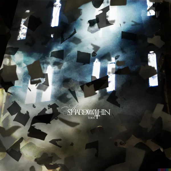 Torn