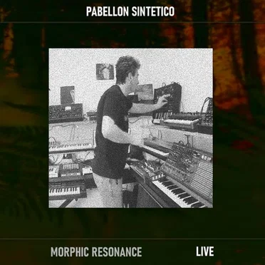 Morphic Resonance Live