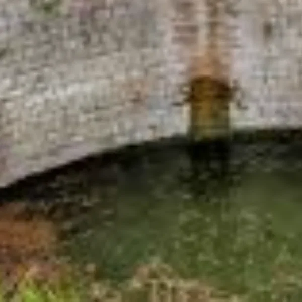 Deep Inside the Well.