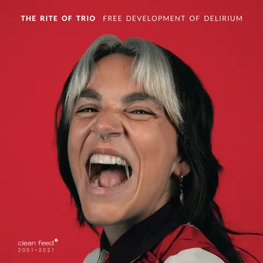 Free Development of Delirium by The Rite of Trio - album cover