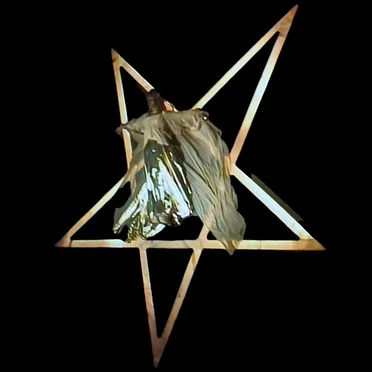 Vocal Suite from Kestrel