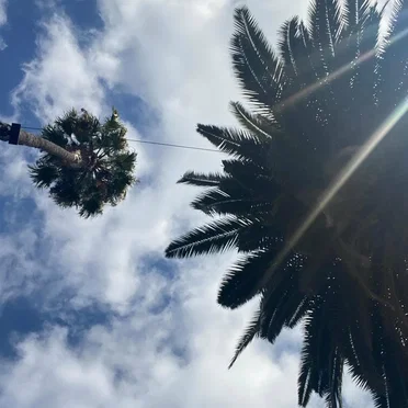 California