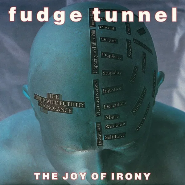 The Joy of Irony