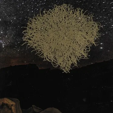 həm pt I by 𝔪𝔬𝔲𝔫𝔱 - album cover