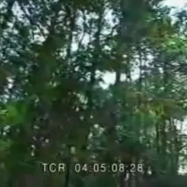 T C R