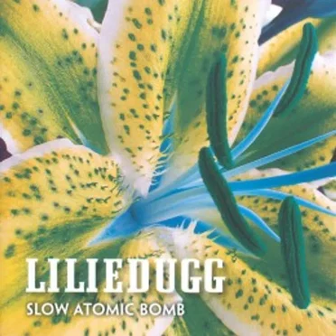 Slow Atomic Bomb by Liliedugg - album cover