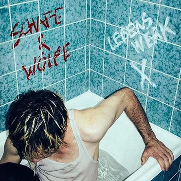 Lebenswerk X by Schafe & Wölfe - album cover