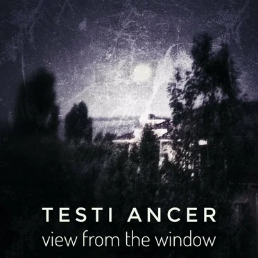 View From The Window