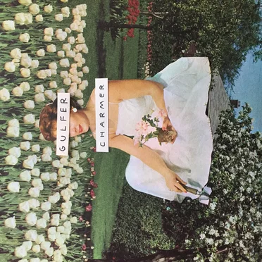 Gulfer / Charmer Split