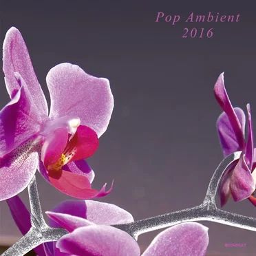Pop Ambient 2016 by Various Artists - album cover