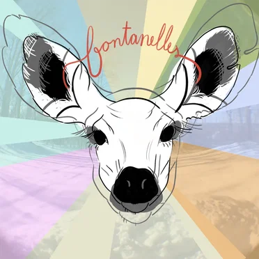 A Time at the Cabin by The Fontanelles - album cover