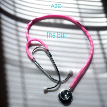 The Burr by A2D - album cover