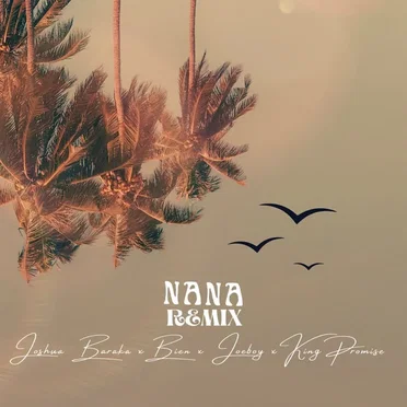 Nana (Remix)