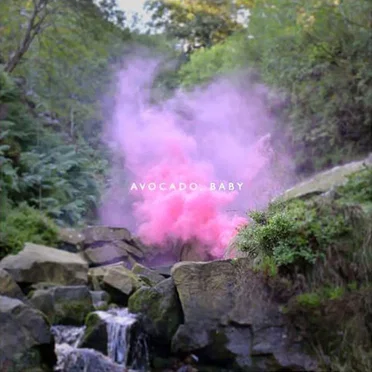 Avocado, Baby