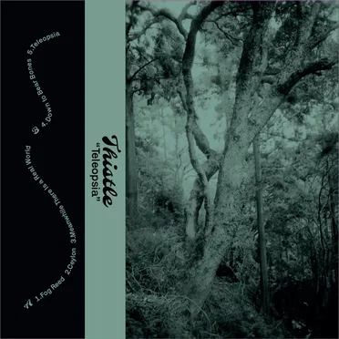 Teleopsia by Thistle - album cover