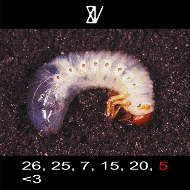 26, 25, 7, 15, 20, 5 <3 by zygoteweb - album cover