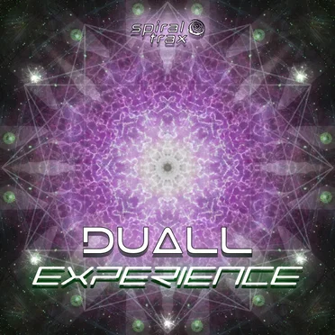Experience