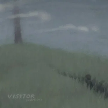 Visitor