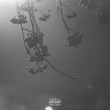 nights by thrown - album cover