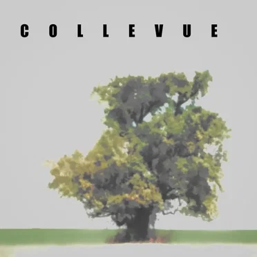 Now and Forever by Collevue - album cover