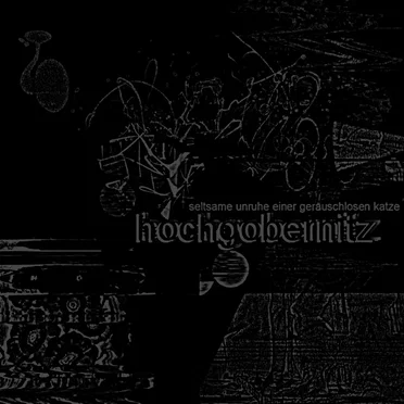 Seltsame Unruhe Einer Geraeuschlosen Katze by Hochgobernitz - album cover