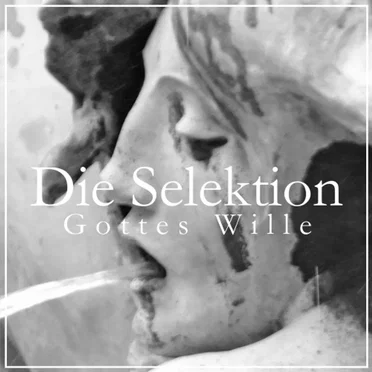 Gottes Wille by Die Selektion - album cover