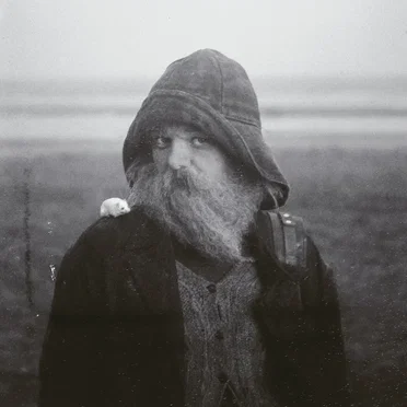 Role Model Hermit by mary in the junkyard - album cover