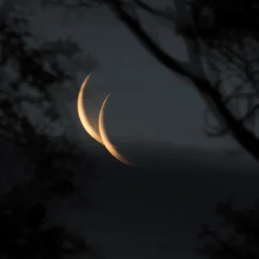 hallucinations of the moon / surroundings