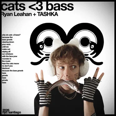cats <3 bass