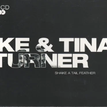 Shake a Tail Feather