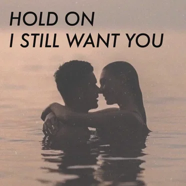 hold on I still want you by Various Artists - album cover