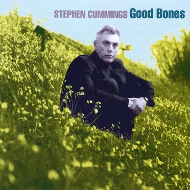 Good Bones