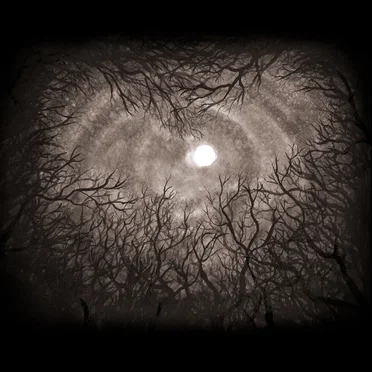 Night Flights by Hiboux - album cover