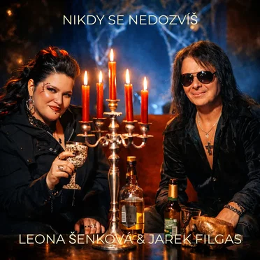 Nikdy se nedozvíš by Leona Šenková - album cover