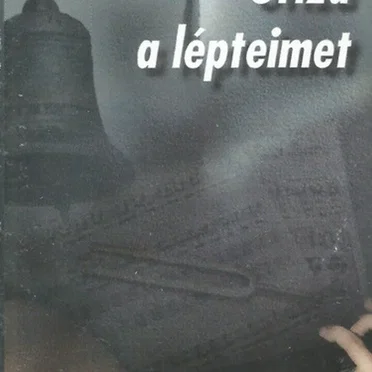 Őrizd A Lépteimet by Borka Zsolt - album cover