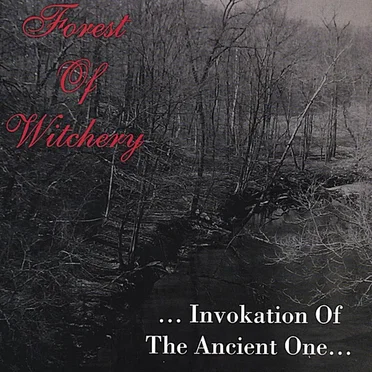 Forest of Witchery