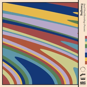 Small Pond Presents: Emerging by Various Artists - album cover