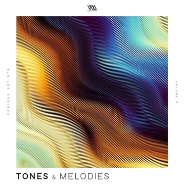 Tones & Melodies (Volume 9) by Various Artists - album cover