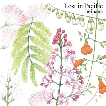 Lost In Pacific