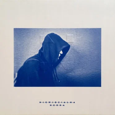 Niewidzialna Nerka by Various Artists - album cover