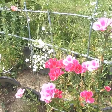 a new day, but everything feels the same without you