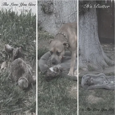 The Love You Give (Is The Love You Get)