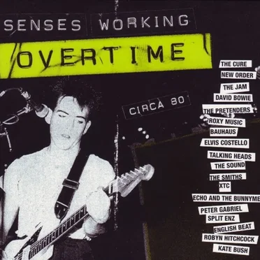 Senses Working Overtime by Various Artists - album cover