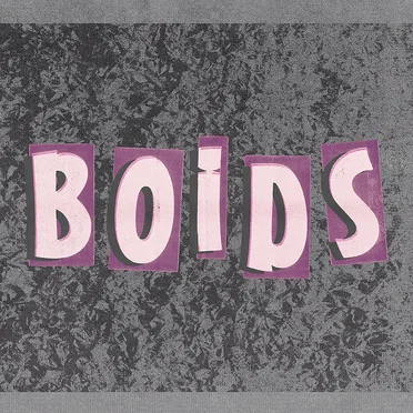 BOIDS