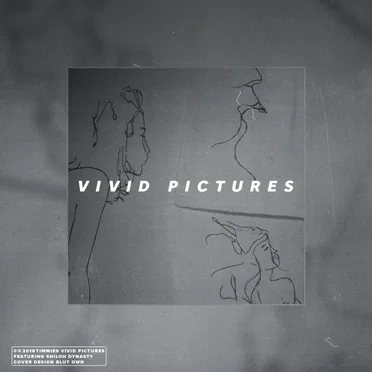 vivid pictures