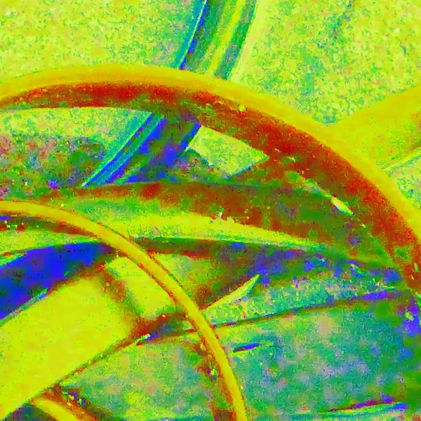 Dolphin EP