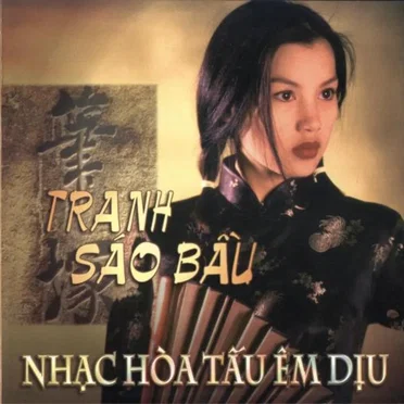Tranh Sáo Bầu - Nhạc hòa tấu êm dịu by Various Artists - album cover